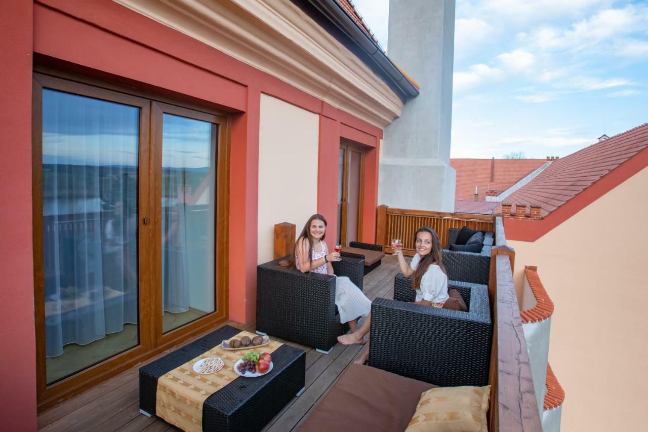 Residence Safari Resort - Chateau Borovany  Esterno foto